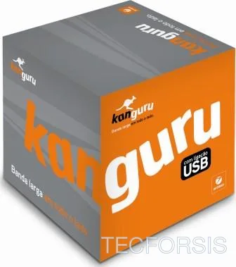 Kanguru USB
