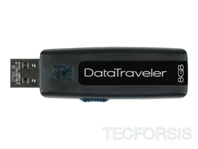 DT100/8GB