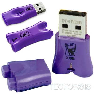 DTMFP/2GB
