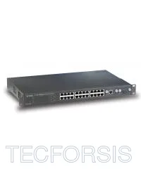 FGSW-2402