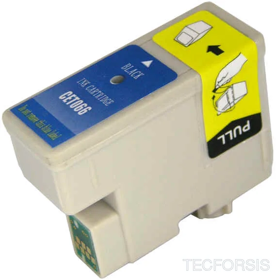 T066
